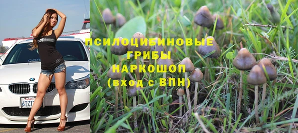спайс Абаза