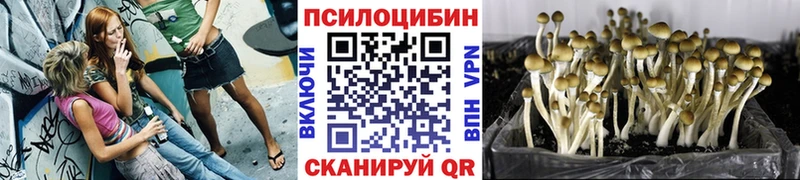 Псилоцибиновые грибы прущие грибы  Ялта 